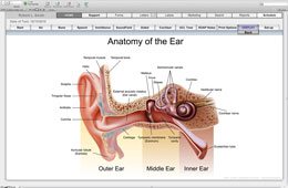 Audiogram Anatomy - Audiograms